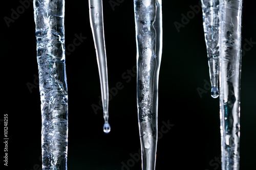 Tablou canvas Icicles from low winter temperatures