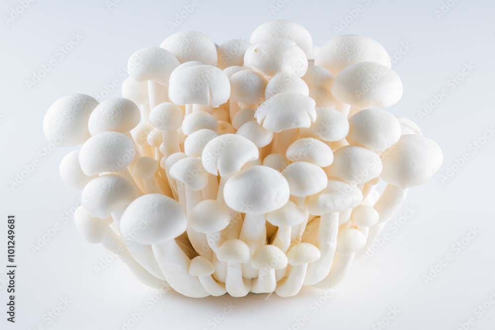 Organic Bunapi Mushrooms Organic Bunapi Mushrooms