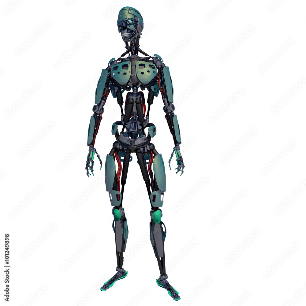 Cyborg Robot At Attention
White Isolated Background