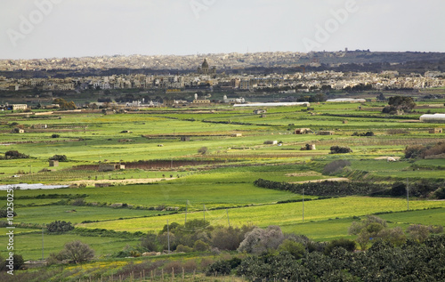 Landscape near Rabat. Malta