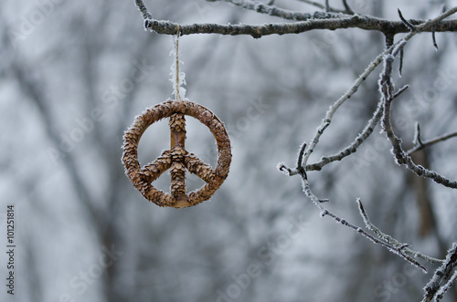 Frozen Peace Sign Hanging Alone in the Winter Forest
