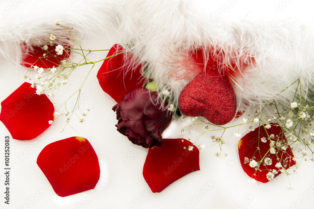 Happy Valentine’s day. Red rose with heart among the feathers and rose leafs Happy Valentine’s day. Red rose with heart among the feathers and rose leafs