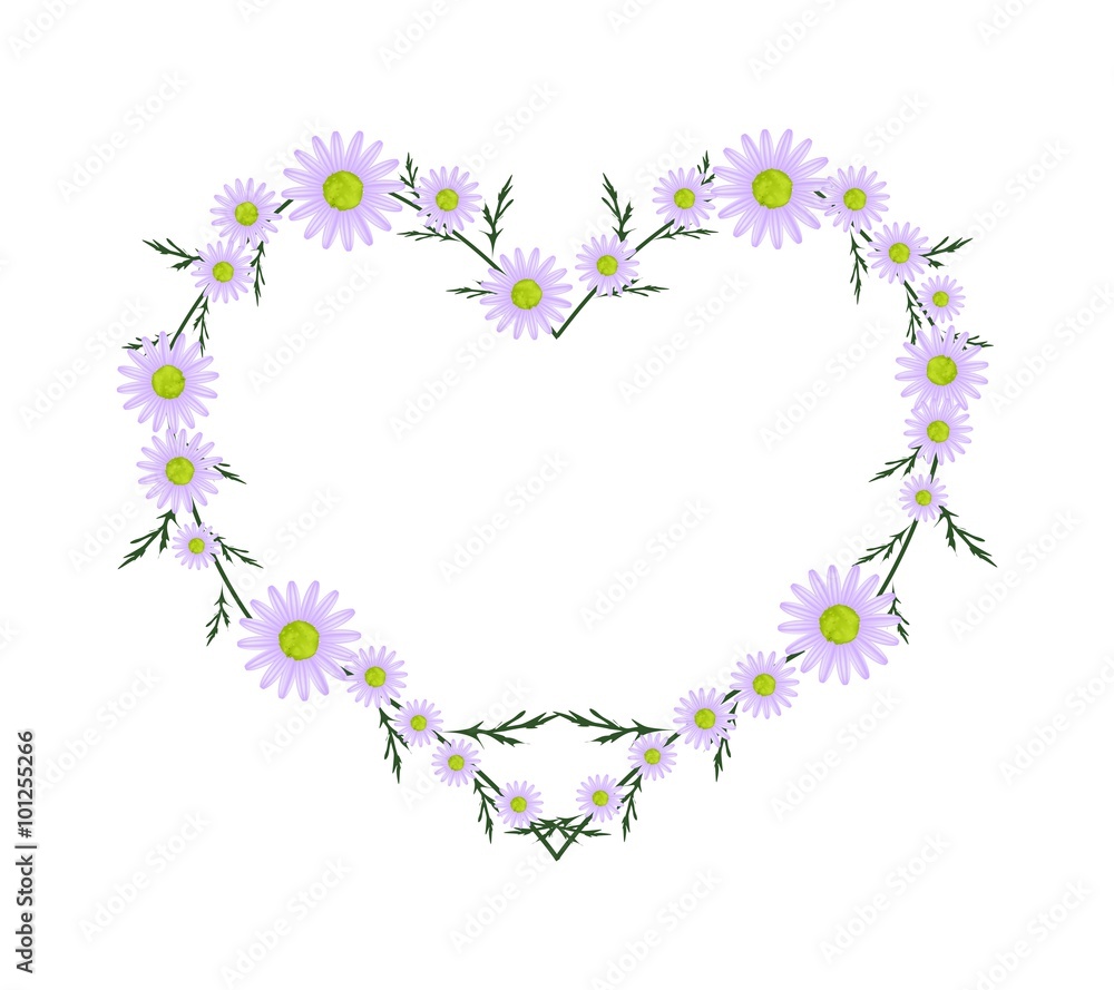 Beautiful Purple Daisy Flowers in Heart Shape