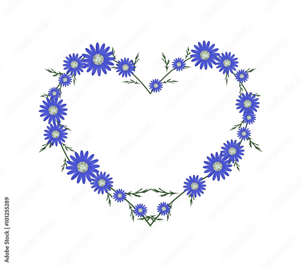 Beautiful Blue Daisy Flowers in Heart Shape