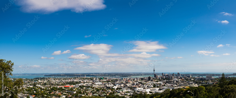Auckland Panorama