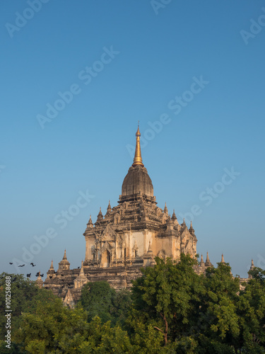 That Byin Nyu pagoda in Bagan in the morning