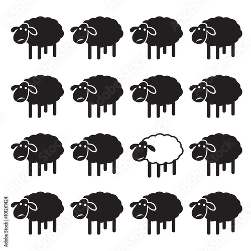 Single white sheep in black sheep group. dissimilar concept