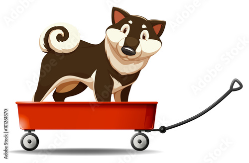 Little dog standing on the wagon