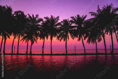 Sunset with silhouette Palm trees .