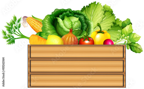 Fresh vegetables in the box