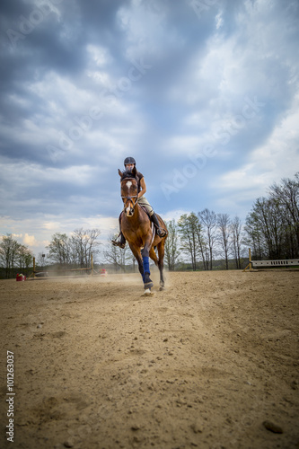 Woman Practicing on Hunter Jumper Horse in Ring