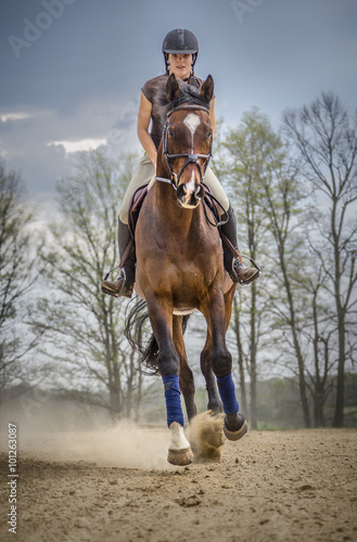 Woman Practicing on Hunter Jumper Horse in Ring