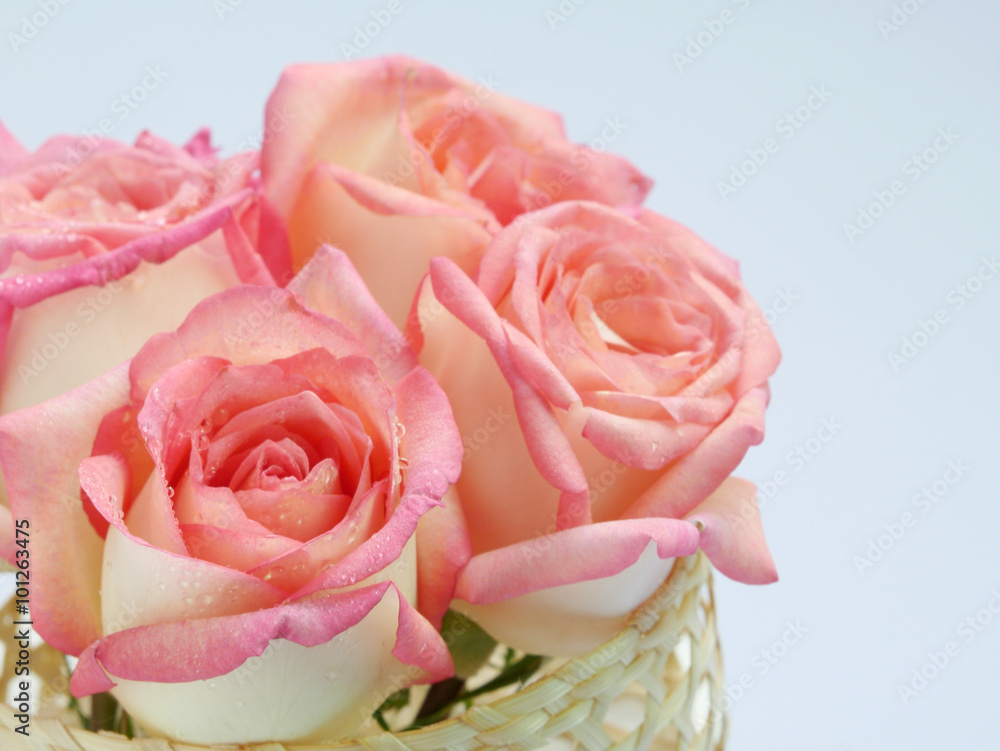 Obraz premium pink and white roses in bamboo wicker