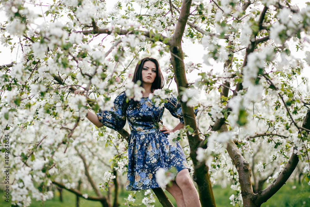 Spring walk girl in a beautiful cherry orchard Spring walk girl in a beautiful cherry orchard