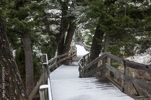 Fotografie Snowy Boardwalk