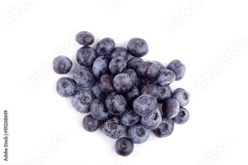 blueberries isolated in white