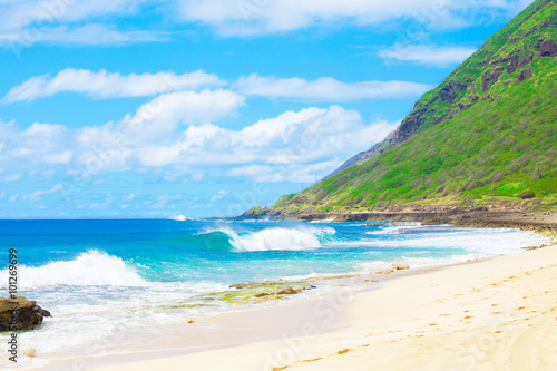 Beautiful landscape of the Hawaiian coastline, waves crashing on beach 