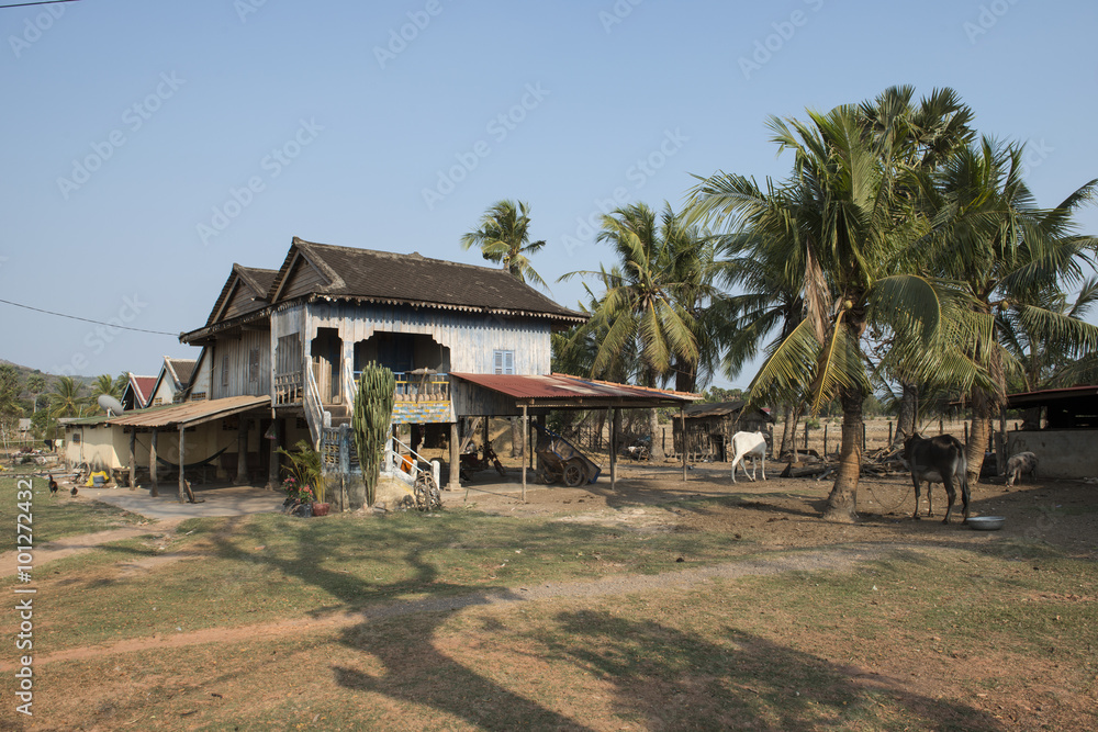 Casas de madera camboyana en los campos de cultivos. Kampot, Camboya Casas de madera camboyana en los campos de cultivos. Kampot, Camboya