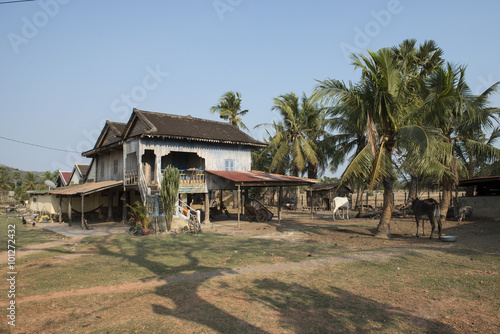 Casas de madera camboyana en los campos de cultivos. Kampot, Camboya 