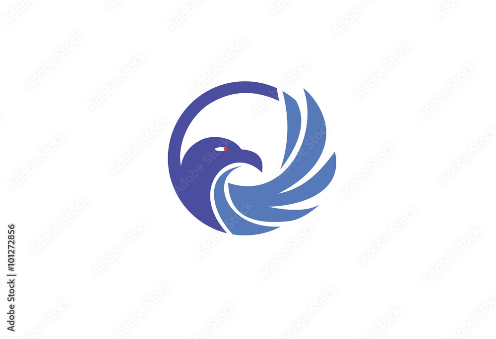 Fototapeta premium head falcon mascot logo