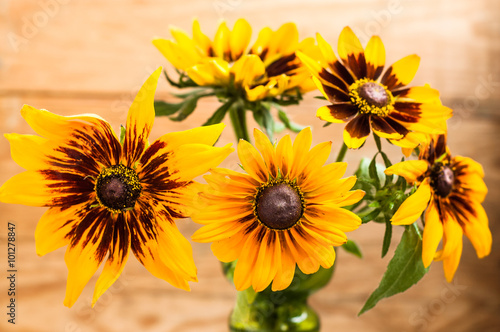 Summer flowers of rudbeckia backgrounds