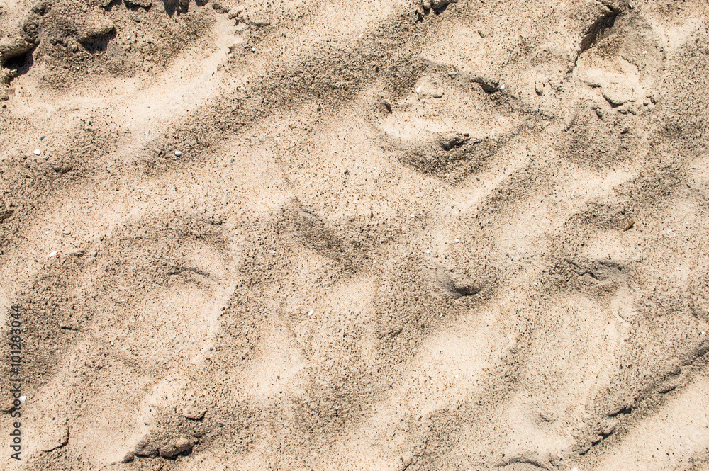 Background texture of sandy beach with traces. Background texture of sandy beach with traces.
