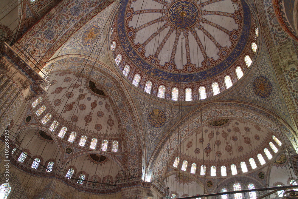 Vault of Sultan Ahmed Mosque, Istanbul, Turkey