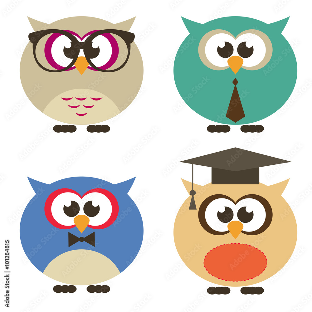 owl vector set of students owl vector set of students