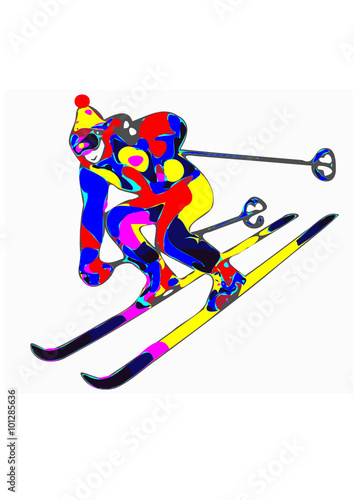 Skier