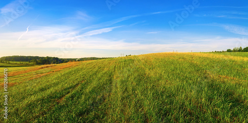 Panoramic landscape with field of green grass and blue sky. Summer sunny day in the countryside.