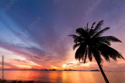 Coconut tree with beautiful sunset on sea and islands background