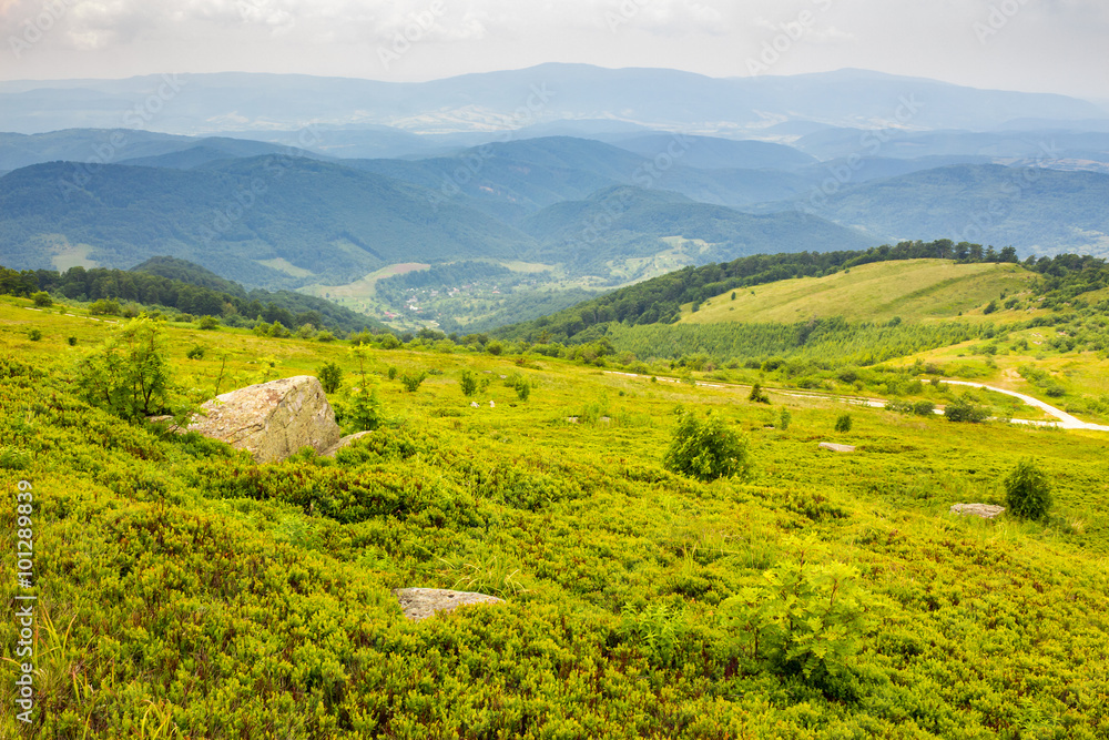 Obraz premium village on hillside meadow with forest in mountain