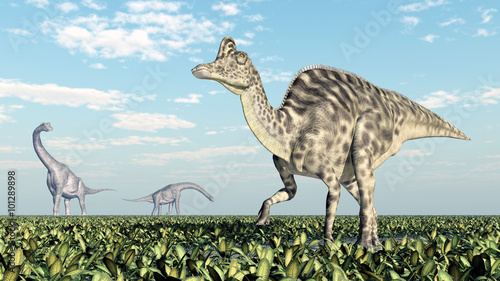 Brachiosaurus und Velafrons