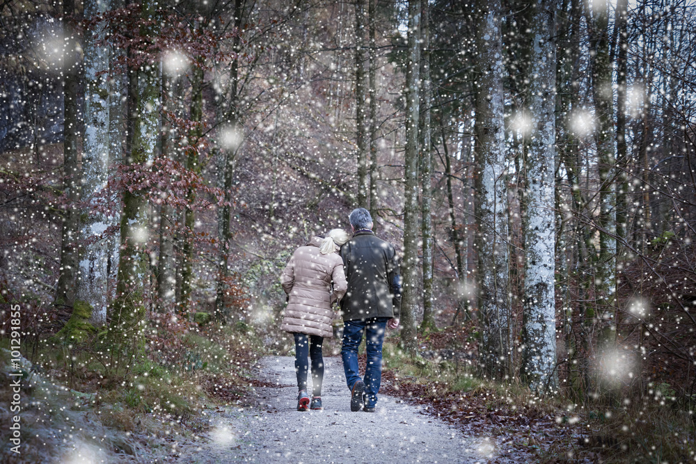 A Couple in the Forest on a snowing day