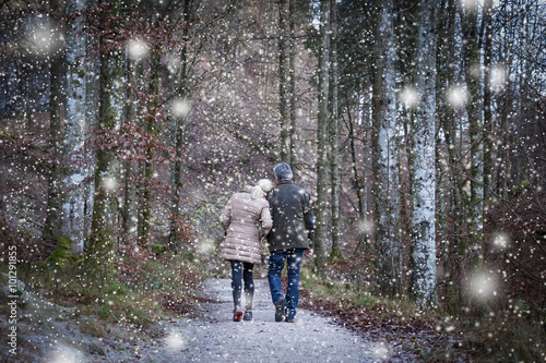 A Couple in the Forest on a snowing day