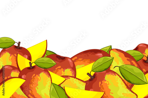Mango Isolated on white background. Mango composition, plants and leaves. Organic food. Mango vector.