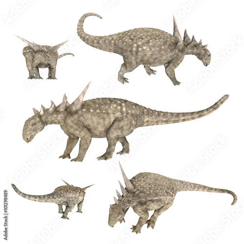 Dinosaur Sauropelta isolated on white background photo