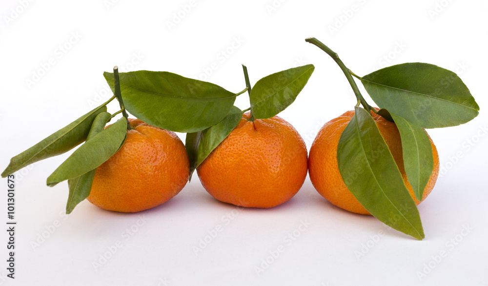 tangerine or mandarin tangerine or mandarin