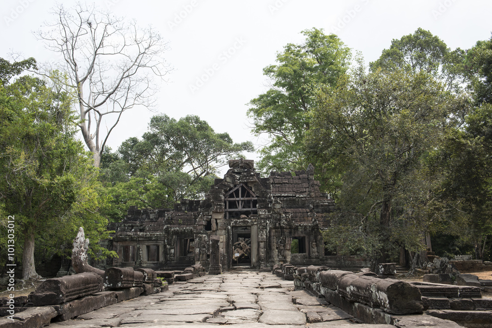 Ruinas y templos de Angkor Wat, el templo de Bayon, Banteay Kdei, Templo Ta Prohm, Preah Khan. Camboya. Ruinas y templos de Angkor Wat, el templo de Bayon, Banteay Kdei, Templo Ta Prohm, Preah Khan. Camboya.