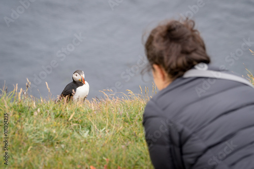 Bird watching in Iceland.