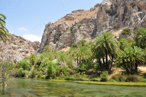 Palmen vor felsigen Bergen auf der Insel Kreta