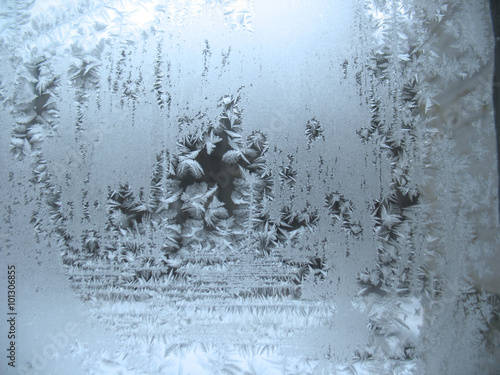 frozen winter window