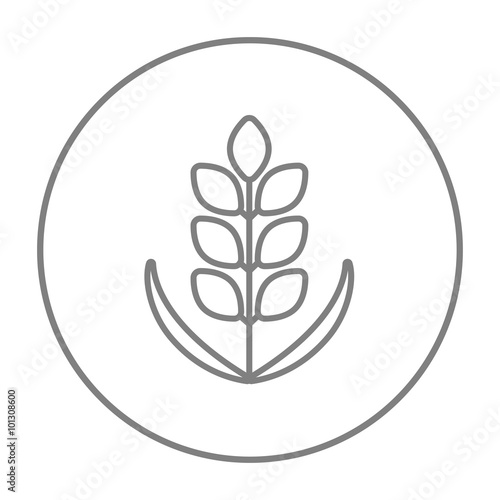 Wheat line icon. © Visual Generation