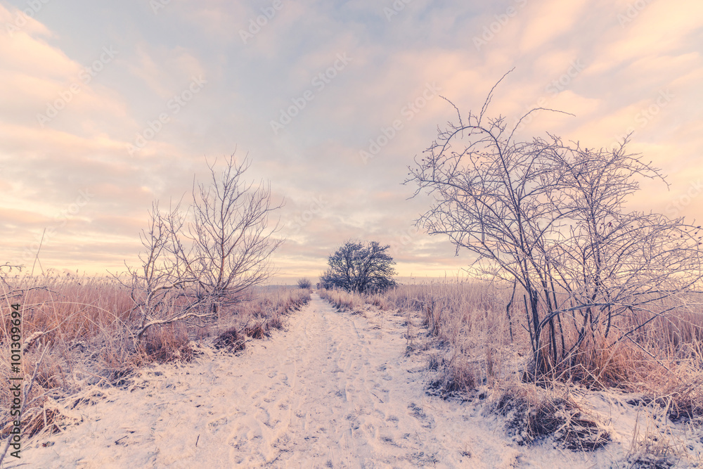 Snowy winter landscape with a path Snowy winter landscape with a path