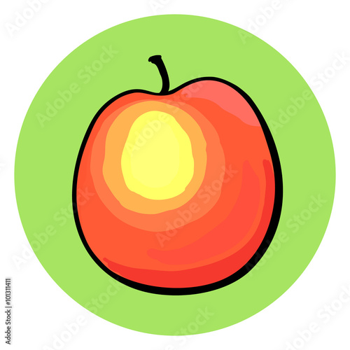 Hand drawn peach on green background.