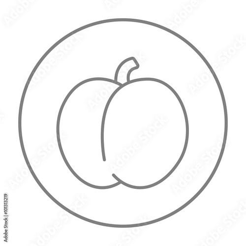 Plum with leaf line icon.