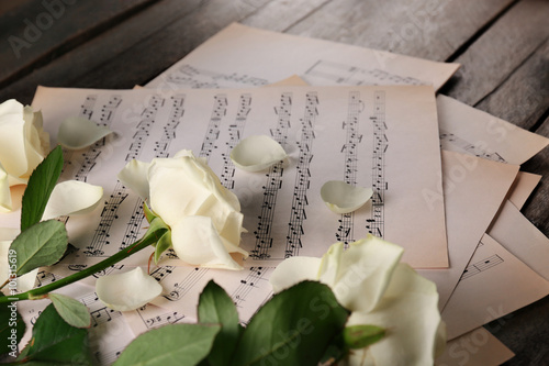 Beautiful rose on music she...