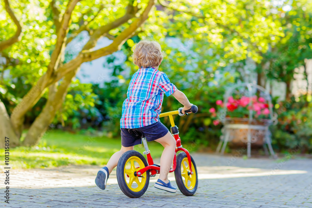 kid boy driving tricycle or bicycle in garden kid boy driving tricycle or bicycle in garden