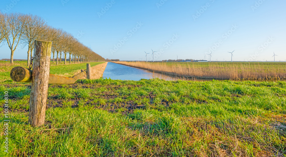 Canal through a sunny landscape in winter