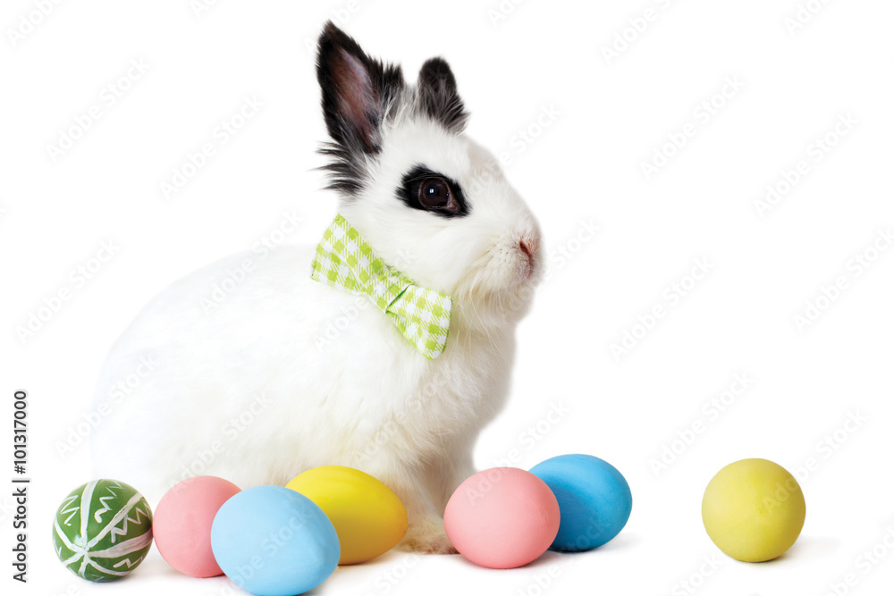 Fototapeta premium Fluffy white rabbit with Easter eggs isolated on white backgroun